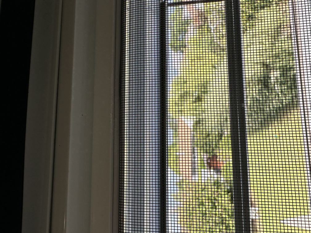 Moustiquaires sur-mesure à Fribourg — exemple 1